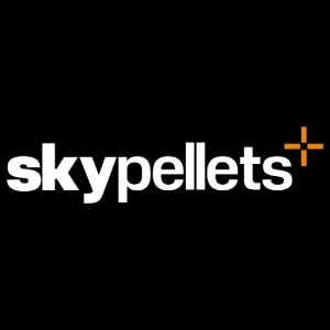 Skypellets 5.5 mm Havalı Saçmalar